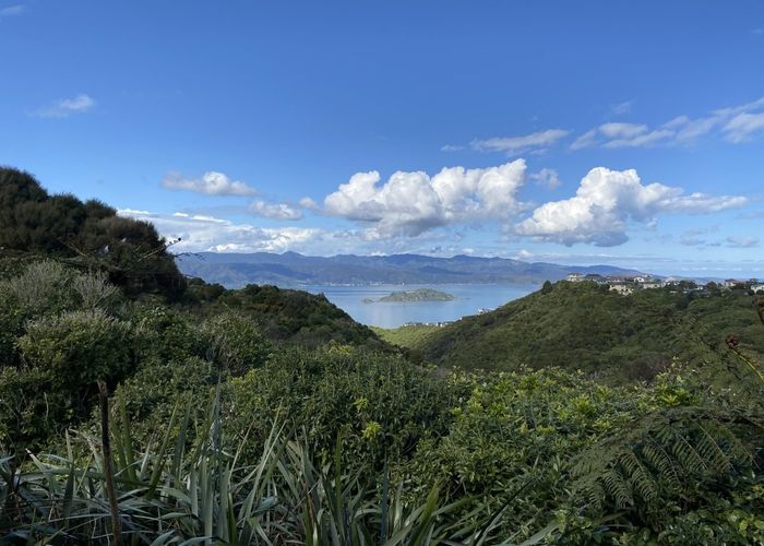  at 20 Ladbrooke Drive, Newlands, Wellington, Wellington
