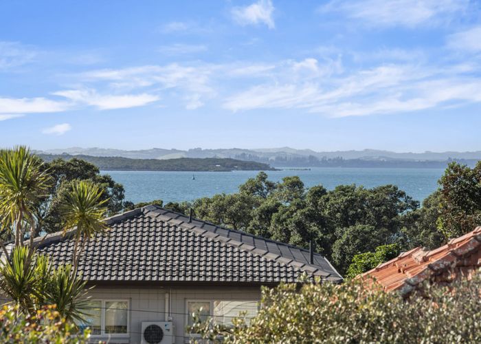  at 3 Handley Avenue, Narrow Neck, Auckland