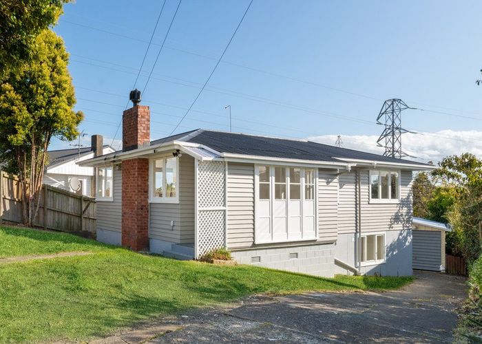  at 46 Ellis Avenue, Mount Roskill, Auckland