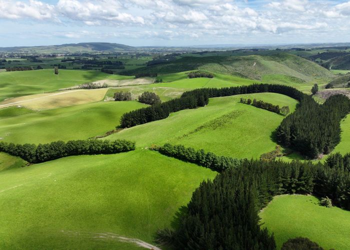  at Circle Hill Road, Milton, Clutha, Otago
