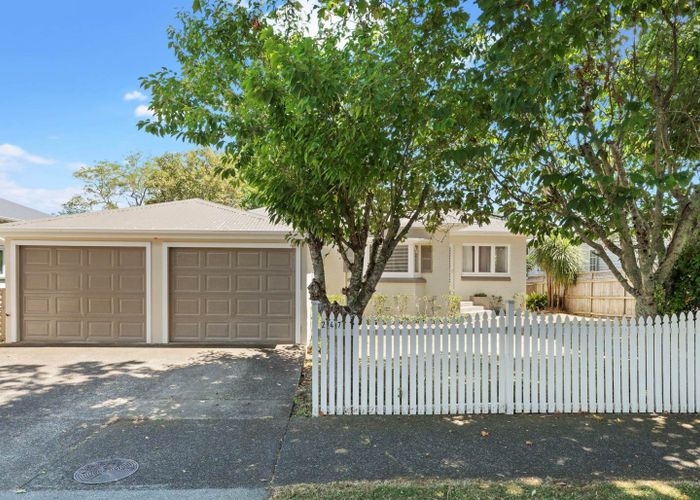  at 247 St Andrews Road, Epsom, Auckland City, Auckland