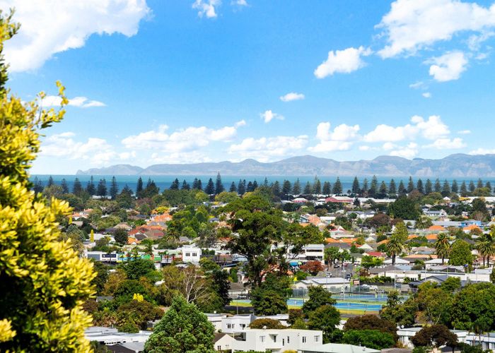  at 33 Simla Terrace, Hospital Hill, Napier, Hawke's Bay