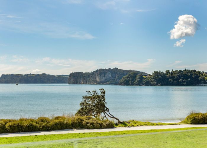  at 38 Buffalo Beach Road, Whitianga, Thames-Coromandel, Waikato