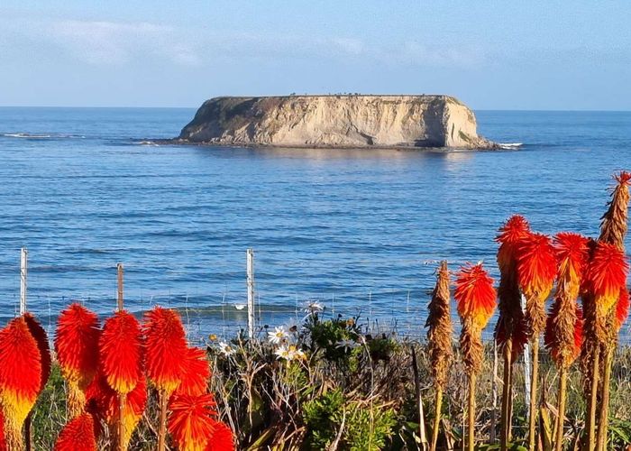  at 16 Hall Street, Motunau, Hurunui, Canterbury