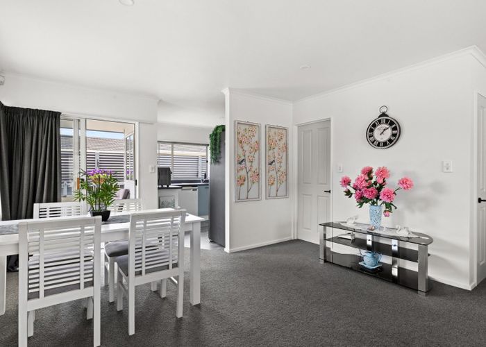  at 509 Burnett Street, Mahora, Hastings, Hawke's Bay