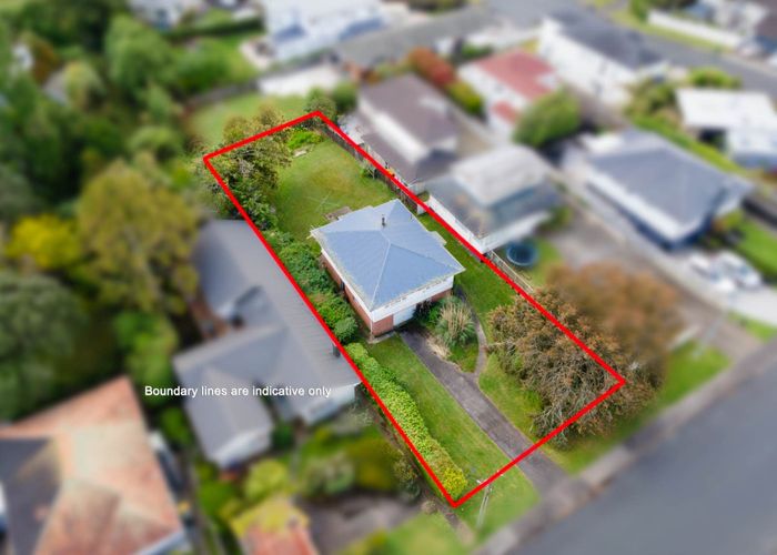  at 19 Bardia Street, Belmont, Auckland