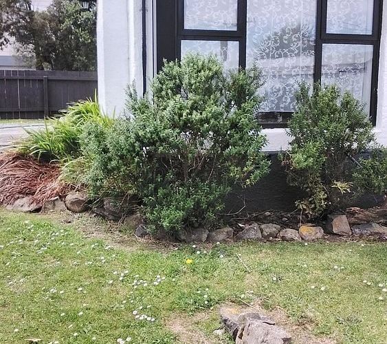  at 37 Scobie Road, Waverley, Dunedin, Otago