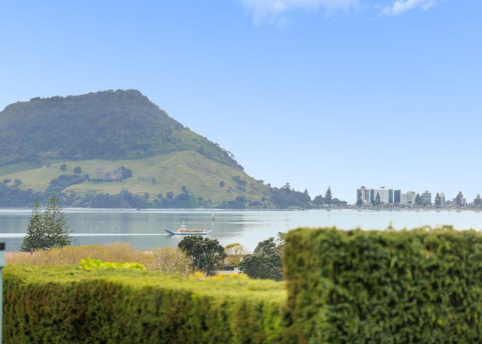  at 3 Pillans Road, Otumoetai, Tauranga