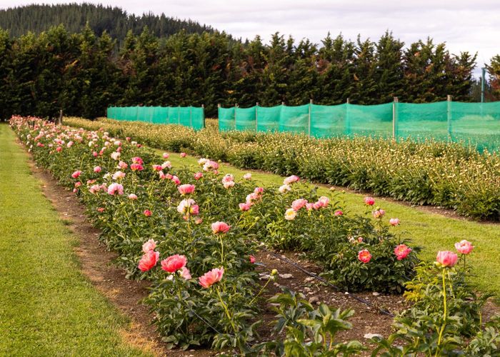  at 632 Waihopai Valley Road, Renwick, Marlborough, Marlborough