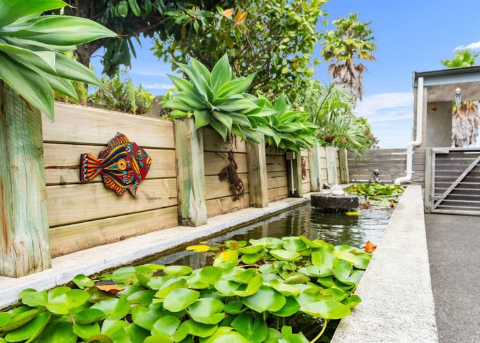  at 50 Atkin Road, Kaiwaka