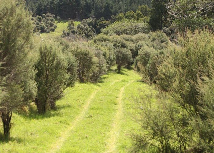  at 286 Runaruna Road, Broadwood, Far North, Northland