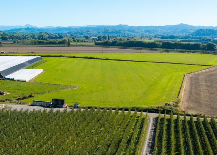  at Lot 4 Judd Road, Patutahi, Gisborne, Gisborne