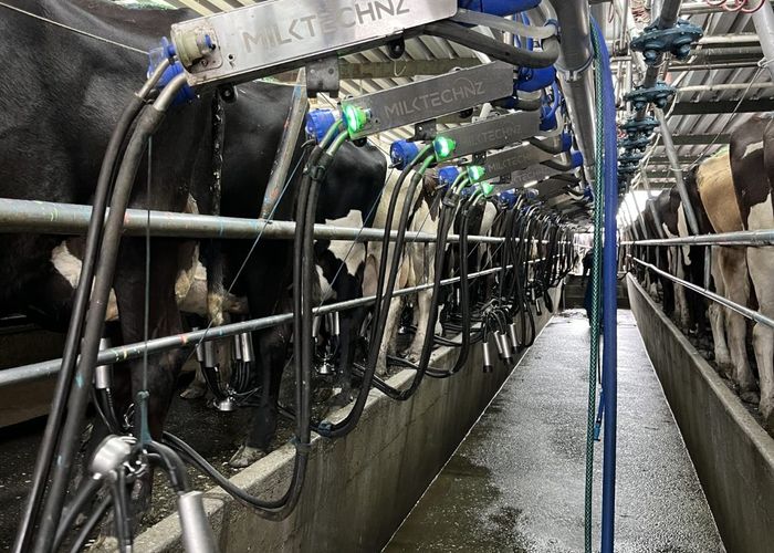  at 28 Stopbank Road, Kowhitirangi, Westland, West Coast