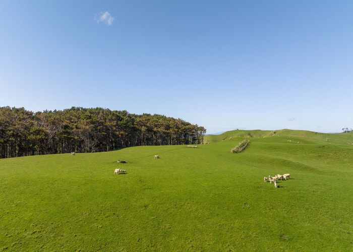  at 45 Te Akau Coast Road, Te Akau, Waikato, Waikato