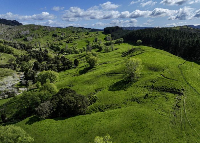 For sale 335 Takapau Road, Tolaga Bay, Gisborne, Gisborne homes.co.nz