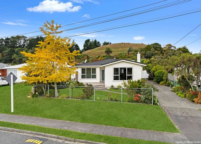  at 20 Raine Street, Whanganui East, Whanganui, Manawatu / Whanganui