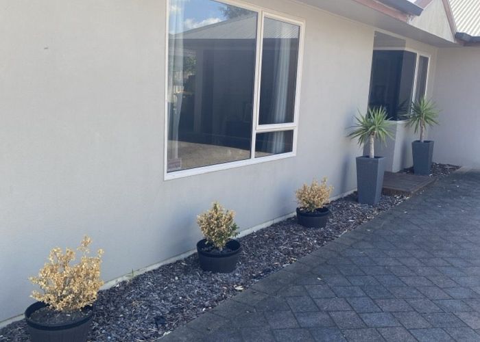  at 19 Lamia Grove, Papamoa, Tauranga, Bay Of Plenty