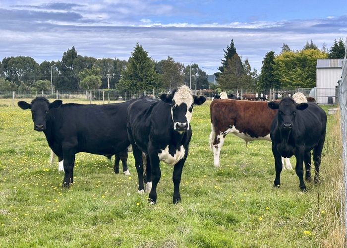  at 35 Pioneer Highway, Mataura, Gore, Southland
