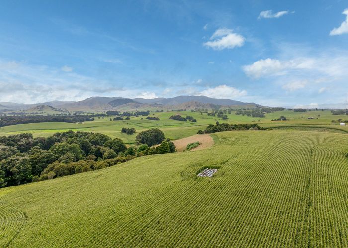  at 1179 Tahuna Road, Ohinewai, Waikato, Waikato