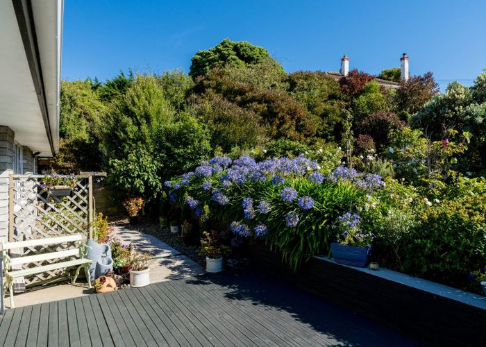  at 151 Tomahawk Road, Andersons Bay, Dunedin