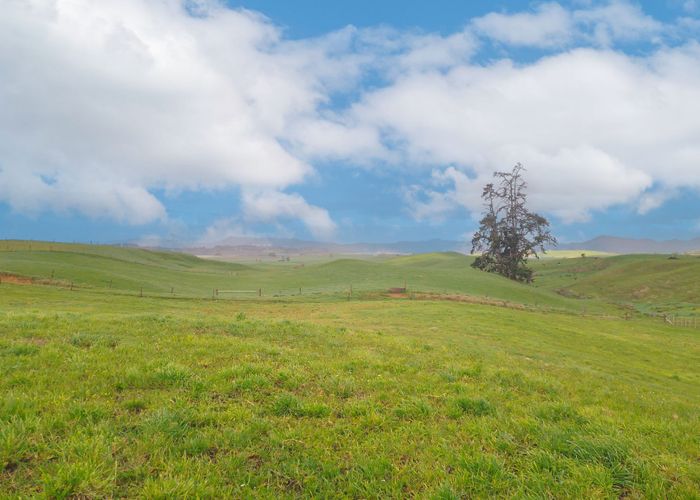  at 676 Waikokowai Road, Rotongaro, Waikato, Waikato