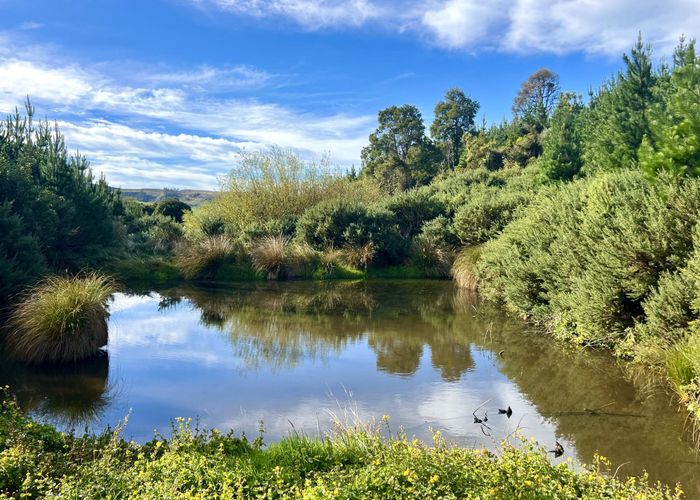  at 265 Stirling Road, Otapiri, Southland, Southland