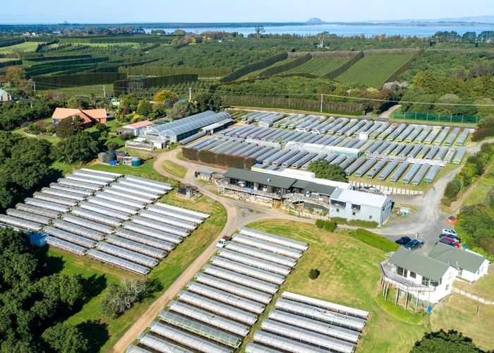  at 107 Ongare Point Road, Katikati, Western Bay Of Plenty, Bay Of Plenty