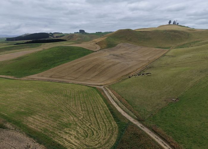  at Windsor, Waitaki, Otago