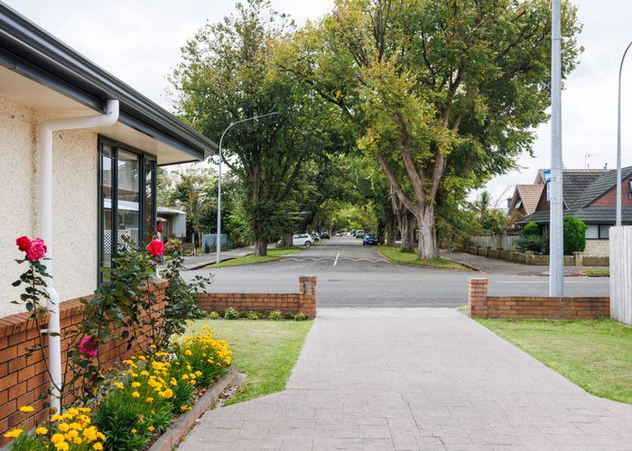  at 206 Park Road, Hokowhitu, Palmerston North, Manawatu / Whanganui