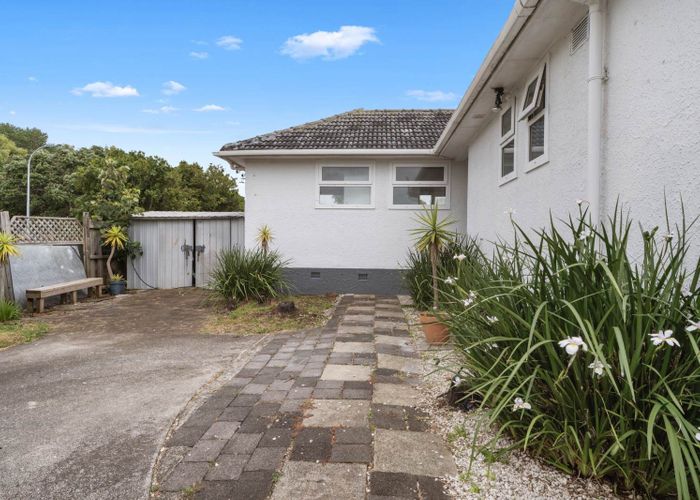  at 9 Larsen Road, Panmure, Auckland City, Auckland