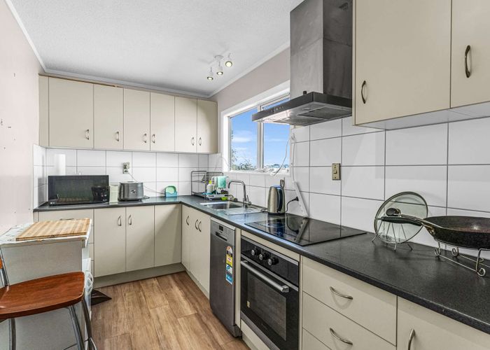 at 19 Hollydale Grove, Churton Park, Wellington, Wellington