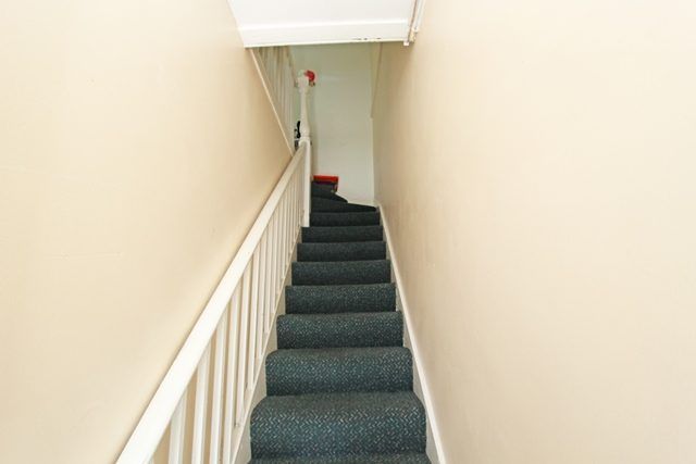  at 113B Stafford Street, City Centre, Dunedin, Otago