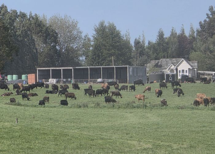  at 141 Mataura Island Titiroa Road, Mataura Island, Invercargill, Southland