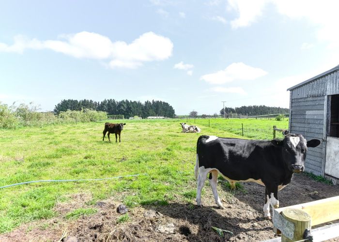  at 91 Bushy Park Road, Kai Iwi, Whanganui, Manawatu / Whanganui