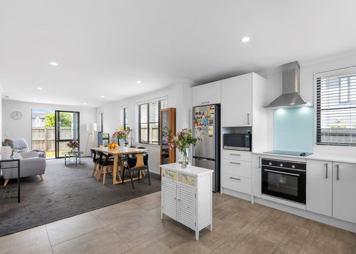  at 17 Saddleback Crescent, Papakura, Papakura, Auckland