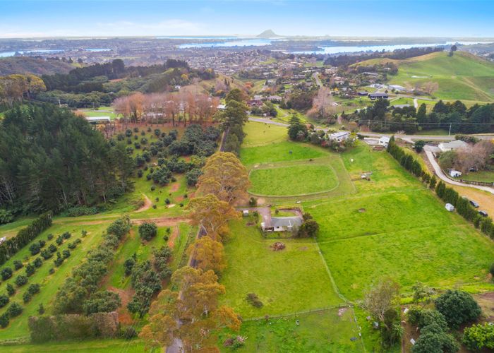  at 21 Shady Lane, Welcome Bay, Tauranga