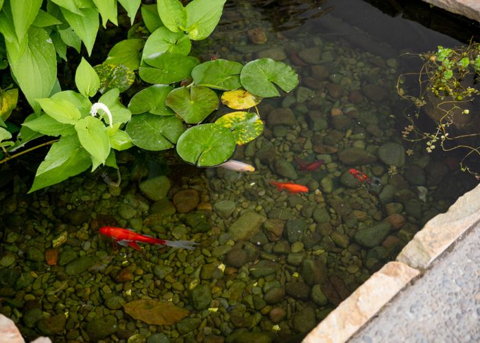  at 46 St Pauls Drive, Brookfield, Tauranga