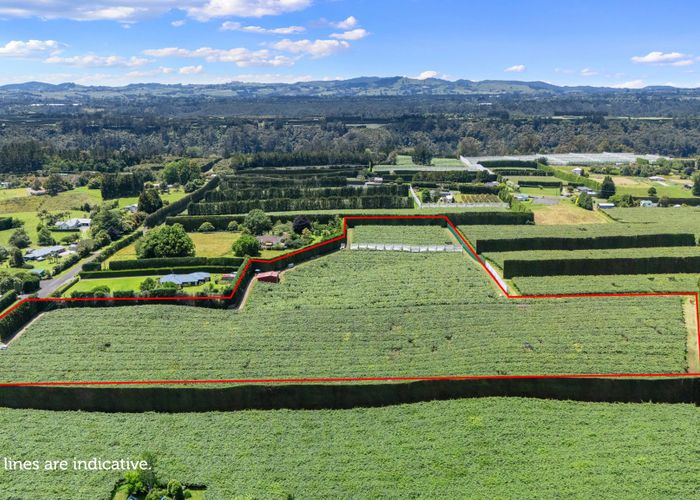  at 43 Jensen Road, Omanawa, Western Bay Of Plenty, Bay Of Plenty