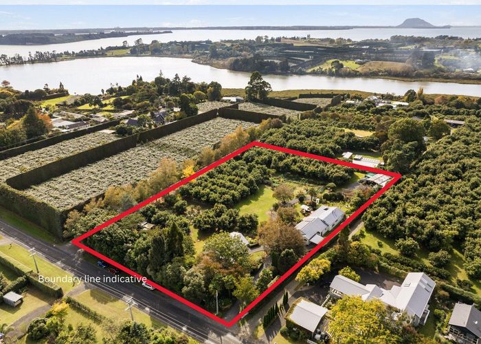  at 322 Snodgrass Road, Te Puna, Western Bay Of Plenty, Bay Of Plenty