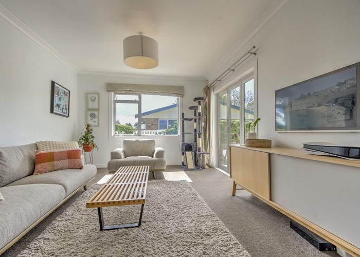  at 19 Nixon Street, Hamilton East, Hamilton