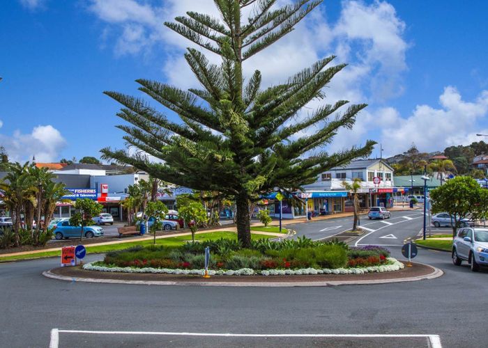  at 16C Hastings Road, Mairangi Bay, North Shore City, Auckland