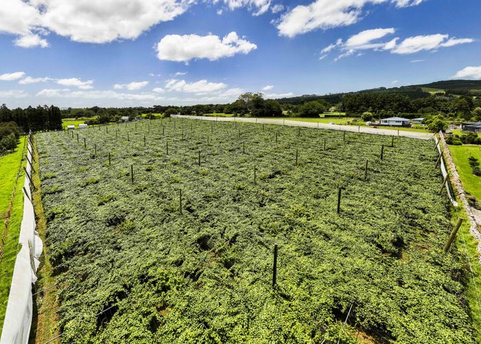  at 457 Whatitiri Road, Poroti, Whangarei, Northland