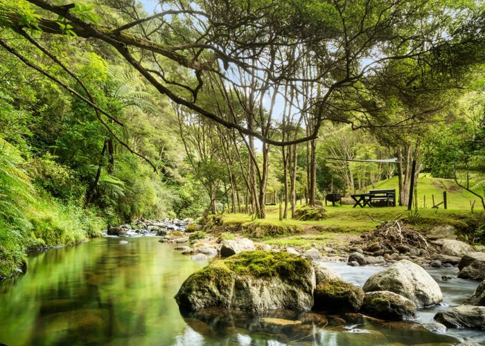  at Welcome Bay, Tauranga, Bay Of Plenty