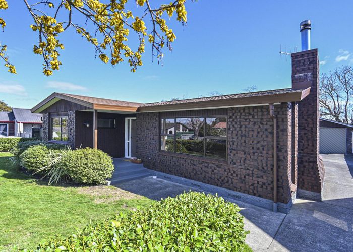  at 8 Palmer Place, Parkvale, Hastings, Hawke's Bay