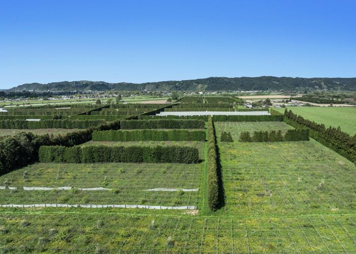  at 37 Selwyn Road, Poroporo, Whakatane, Bay Of Plenty