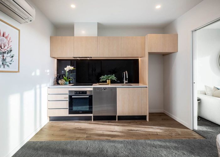  at 205/428 Dominion Road, Mount Eden, Auckland City, Auckland