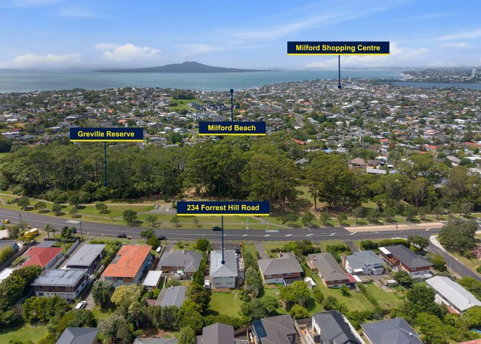  at 234 Forrest Hill Road, Forrest Hill, North Shore City, Auckland