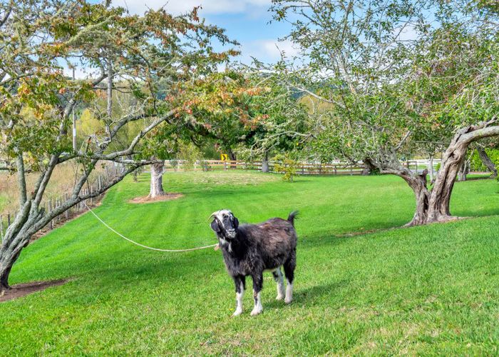  at 748 Woodcocks Road, Warkworth