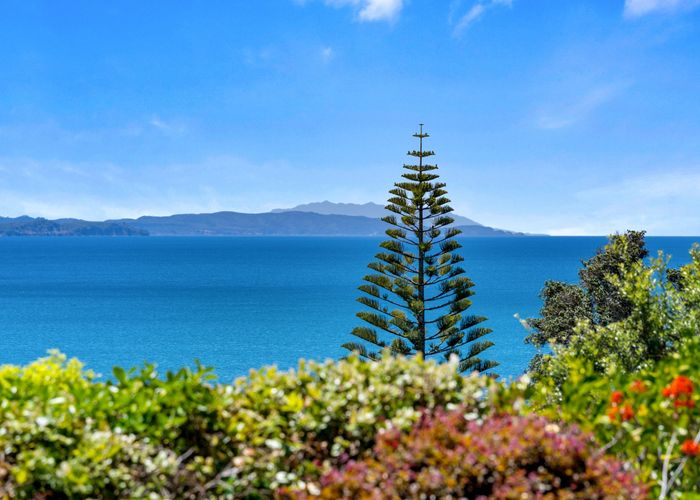  at 72 Duncansby Road, Stanmore Bay, Whangaparaoa