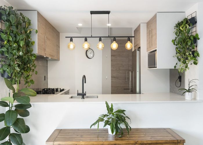  at 8/19 Langana Avenue, Browns Bay, Auckland